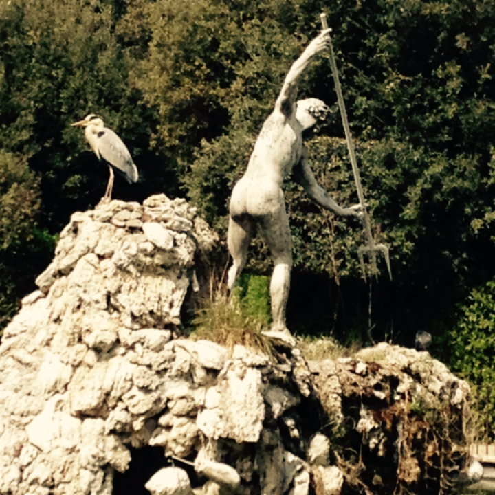 Pool with Statue and Heron, Boboli Gardens, Florence